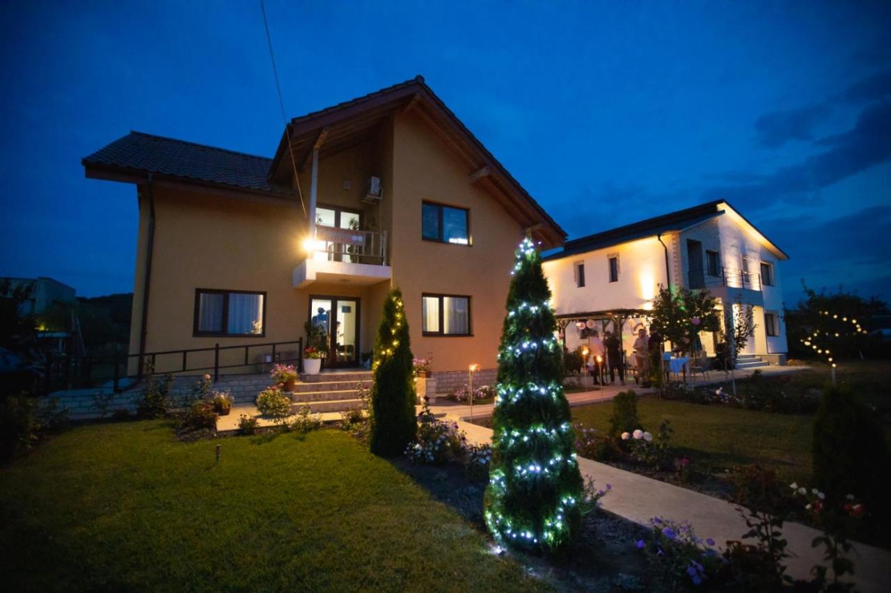 Pensiunea Diana Trestiana Exterior photo