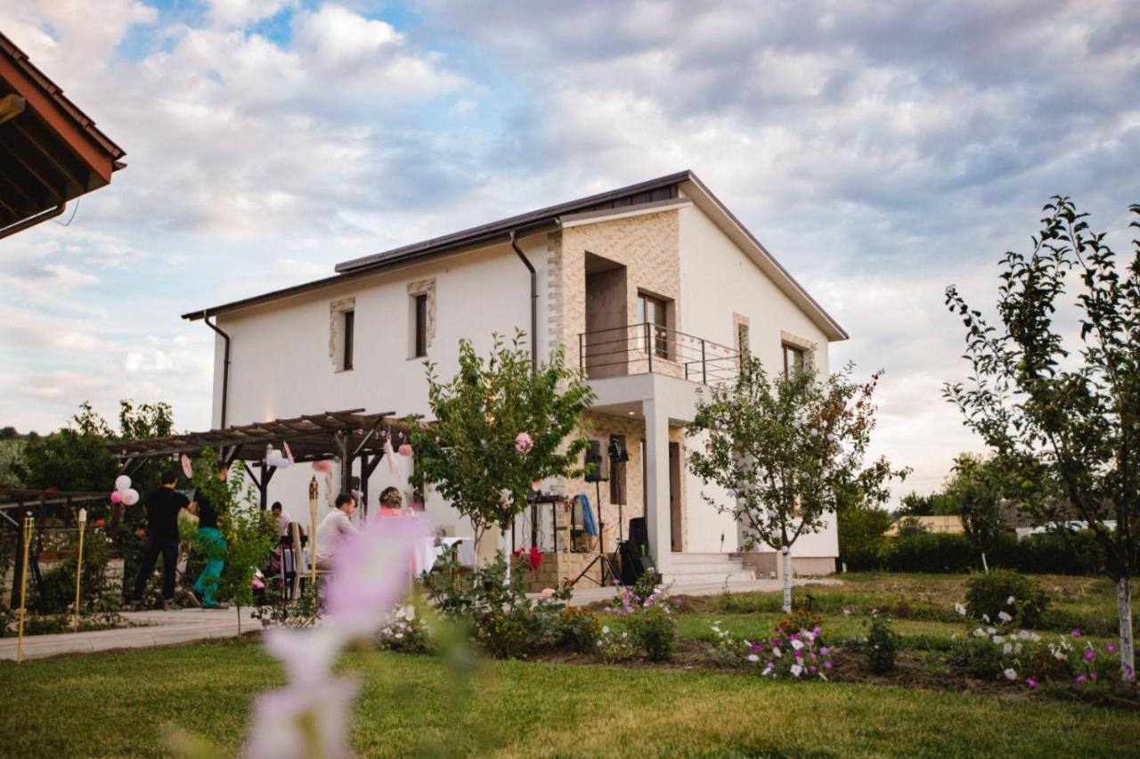 Pensiunea Diana Trestiana Exterior photo